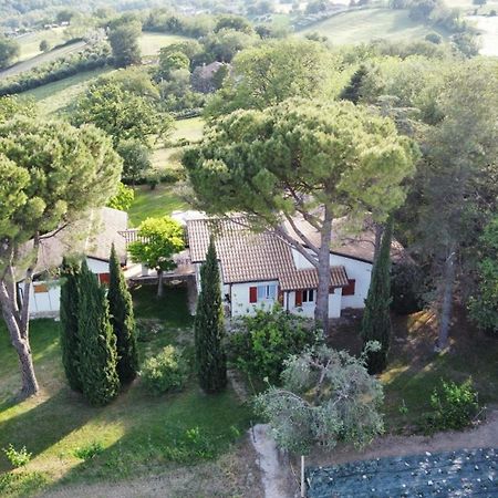 La Villa Del Nonno Montefelcino 外观 照片