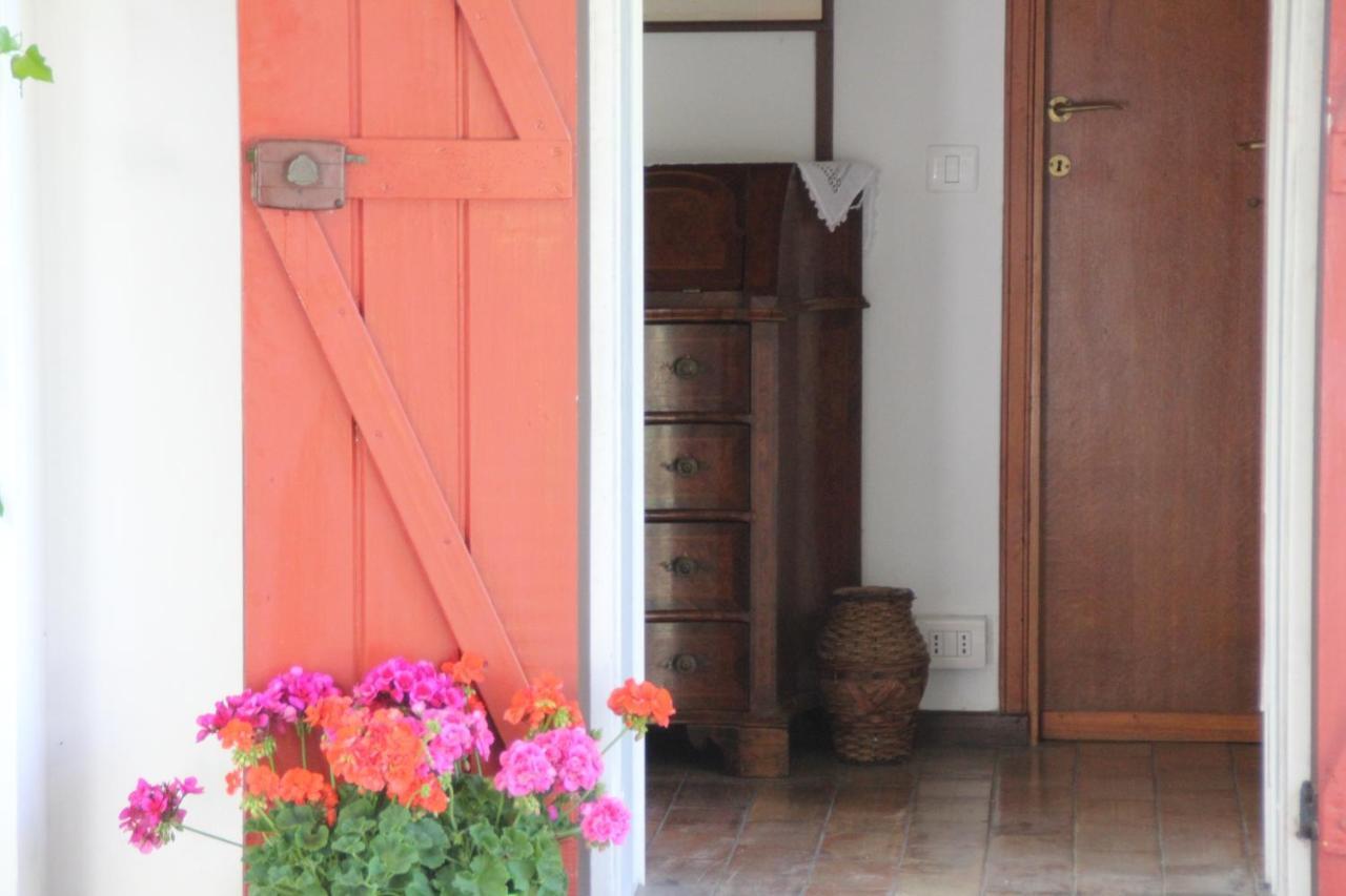 La Villa Del Nonno Montefelcino 外观 照片