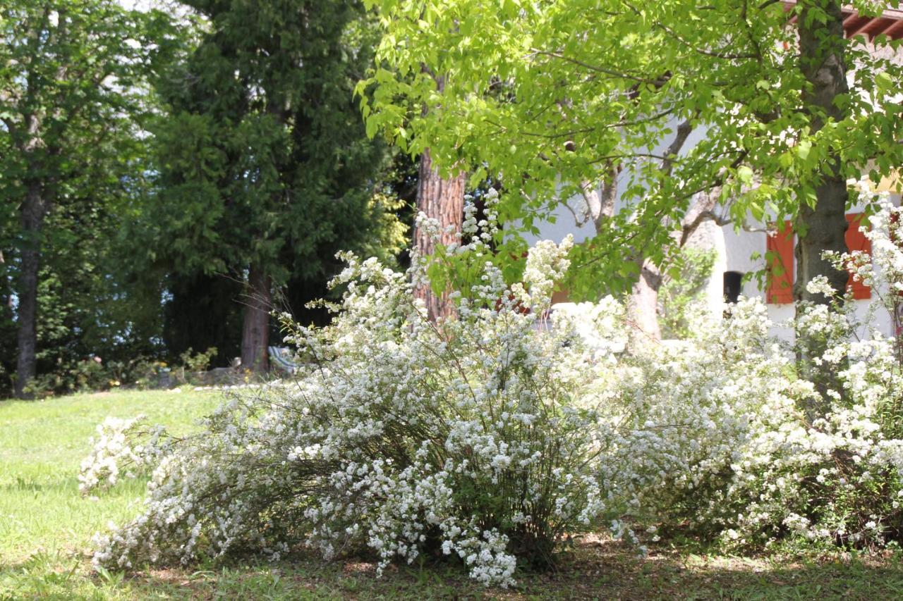 La Villa Del Nonno Montefelcino 外观 照片